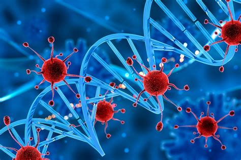 O Que É o Estresse Oxidativo?