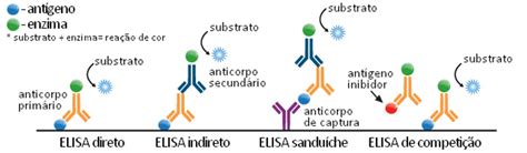 O Que é ELISA.BET?