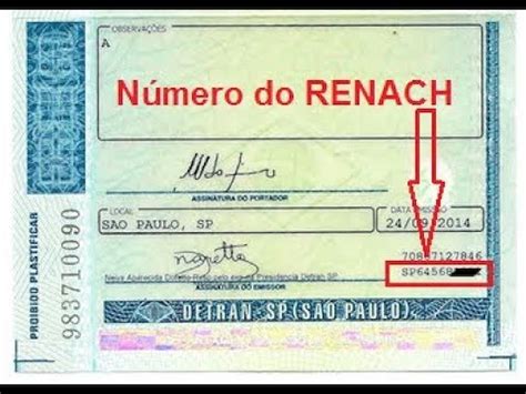 O Que é o Formulário RENACH?