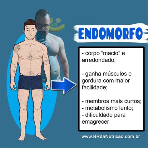 O Que é um Endomorfo?