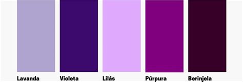 O Roxo Escuro: Um Guia Completo