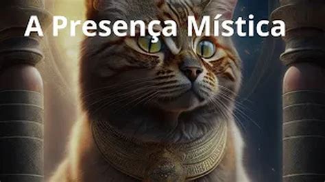 O Significado Espiritual do Gato Mijer em Seu Dono