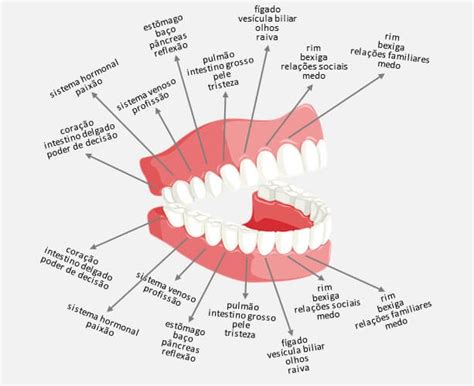 O Significado Simbólico dos Dentes