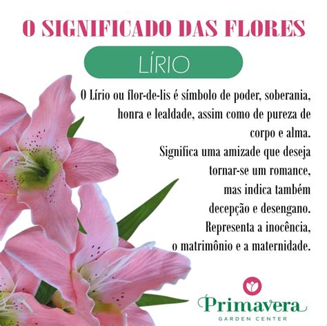 O Significado da Leoa com Flor