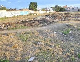 O Terreno Baldio de Oportunidades: Como Transformar Sinais em Lucros