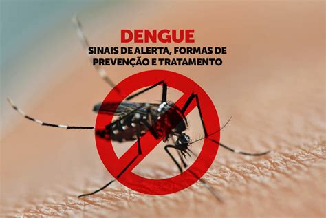 O que é Dengue?