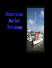 OCEANVIEW MARINE COMPANY AUDIT CASE SOLUTIONS Ebook Doc