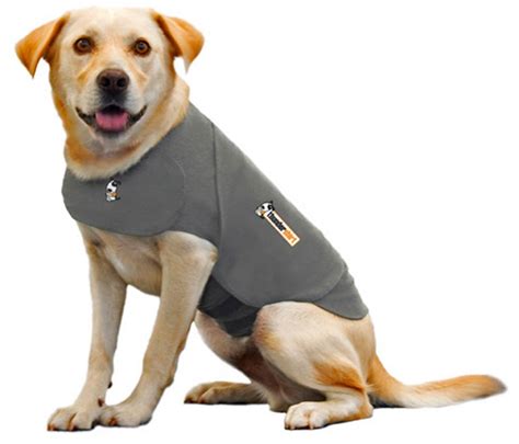 OKC Thunder Shirts: The Ultimate Guide to Calming Your Anxious Dog