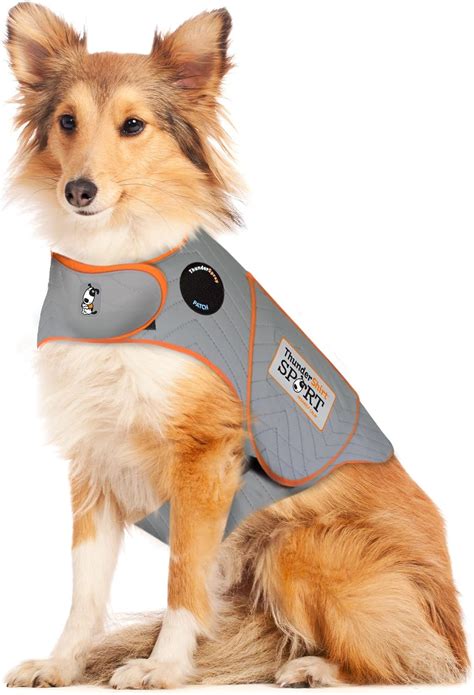 OKC Thunder Shirts: Uncover the Calming Power for Anxious Dogs