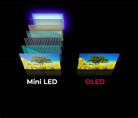 OLED vs Mini LED: 2023 Showdown for Display Dominance