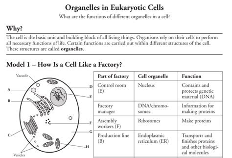 ORGANELLES IN EUKARYOTIC CELLS POGIL ANSWER KEY Ebook Reader