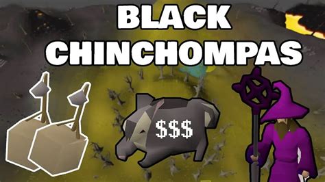 OSRS: Black Chinchompas Hunting Optimization