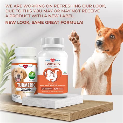 OTC Anti-Inflammatory for Dogs