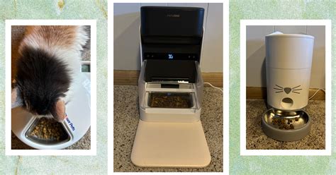 OXO 2025 Automatic Cat Feeder: Advanced Design VS Competitors