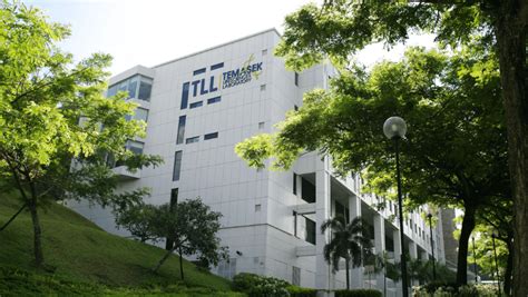 Oasis: The Gateway to Success at SMU Singapore