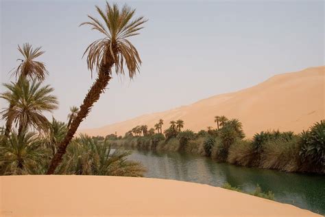 Oasis of the Sahara: 10,000+ Facts and Figures