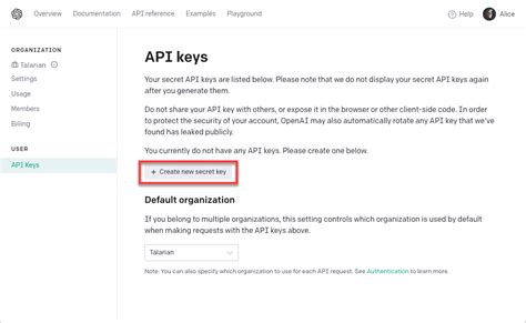 Obtain Your API Key: