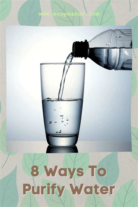 Obtain and Purify Water: