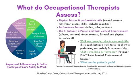 Occupational therapists assess