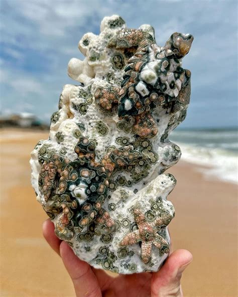 Ocean Jasper: A Geological Wonder