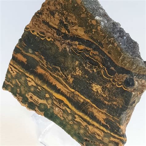 Ocean Jasper: A Masterpiece of Marine Hues