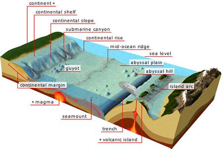 Ocean Rock: A Comprehensive Guide to the Fascinating World of Underwater Geology