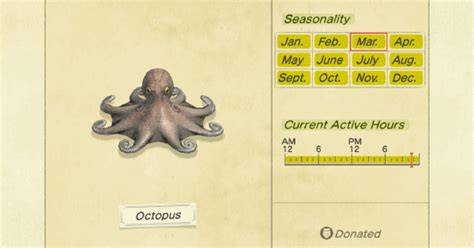 Octopus ACNH: The Ultimate Guide to Finding, Catching, and Utilizing the Mysterious Sea Creature