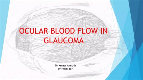 Ocular Blood Flow PDF