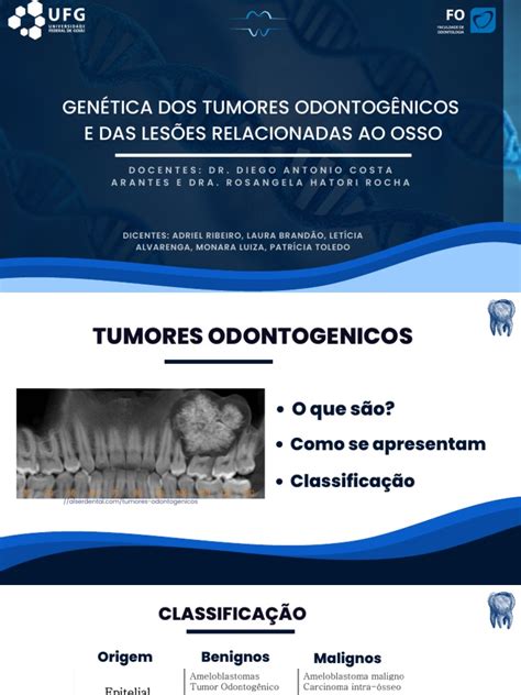 Odontomas: Um Guia Completo para Compreender e Gerenciar Tumores Odontogênicos