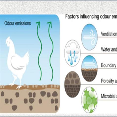 Odor and Emissions: