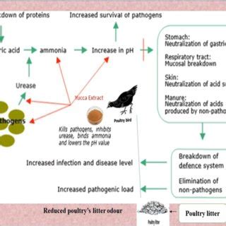 Odor and ammonia emissions: