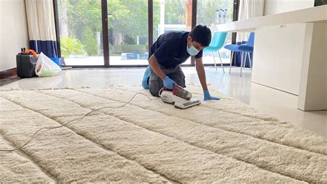 Odor-Ban: Your Ultimate Carpet Cleaning Solution for a Fresh and Healthy Home