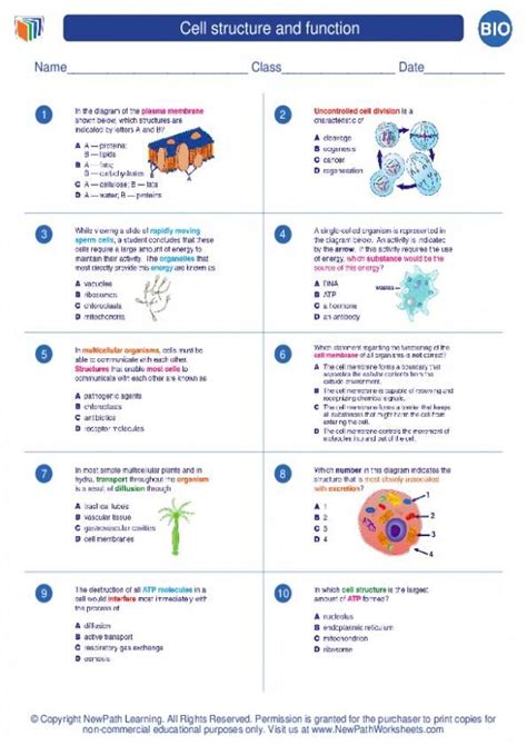 Odysseyware Set Structure And Function Answers Kindle Editon