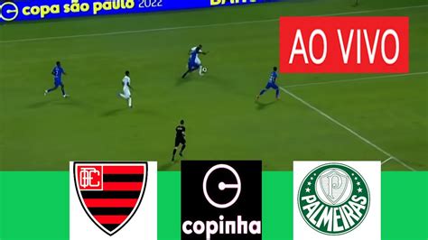 Oeste Sub-20 x Palmeiras Sub-20: Uma Batalha Épica na Copinha 2024