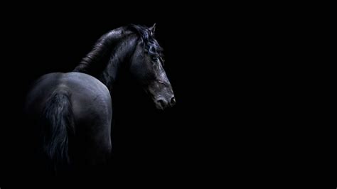 Of Dark and Bright Dark Horse Epub