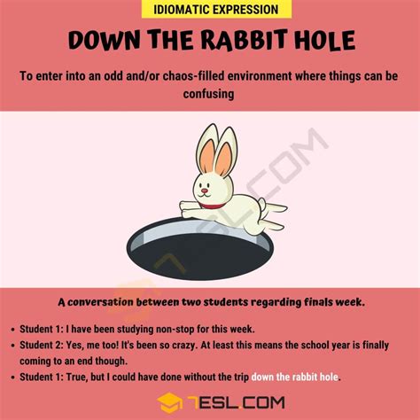 Offbeat Laws: A Trip Down the Rabbit Hole