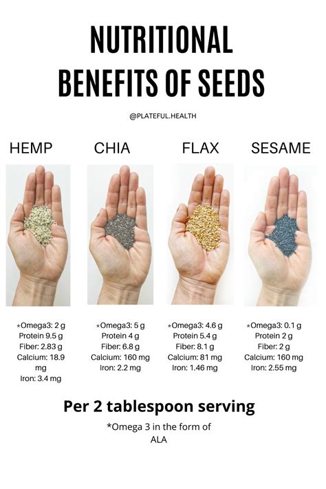 Oil-Bearing Seeds: A Comprehensive Guide to Their Nutritional Value, Health Benefits, and Culinary Applications