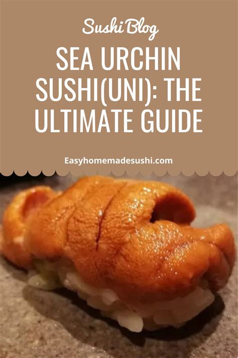 Okina Matara: The Ultimate Guide to the Exquisite Sea Urchin from Japan