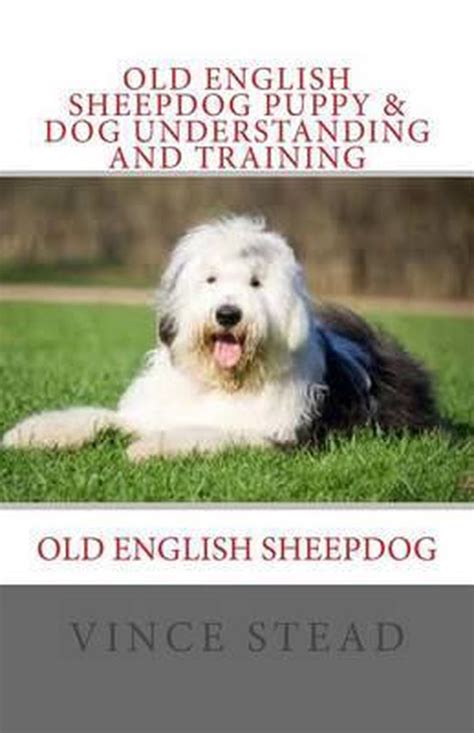 Old English Sheepdog Puppy and Dog Understanding and Training Reader