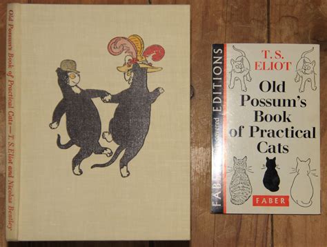 Old Possums Book of Practical Cats Ebook Reader
