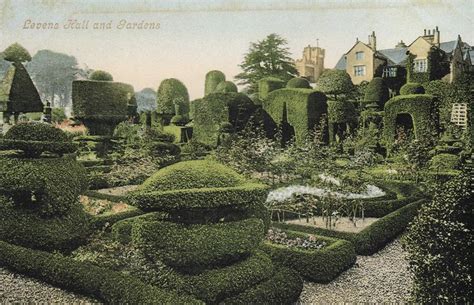 Old Time Gardens PDF