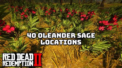 Oleander Sage in Red Dead Redemption 2: The Ultimate Guide