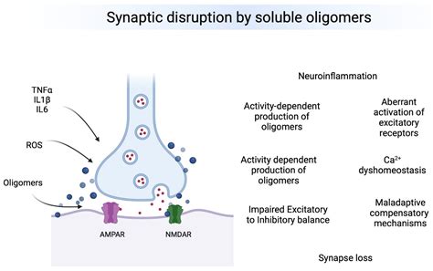 Oligomers: