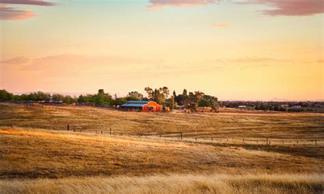 Olive 4 Jordan: Empowering Local Farmers, Revitalizing Rural Communities