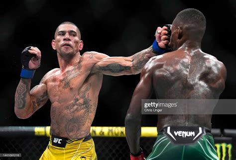 Oliveira Bet: Saiba como apostar no maior lutador brasileiro do UFC