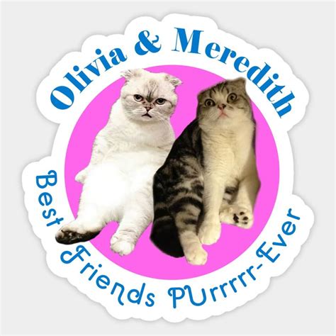 Olivia and Meredith T-Shirts: The Perfect Way to Express Your Fandom