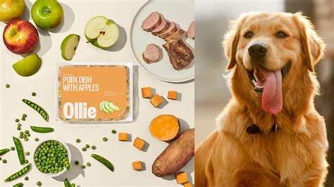 Ollie Dog Food Ingredients: A Comprehensive Analysis