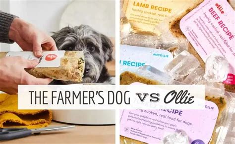 Ollie vs Farmer's Dog: The Ultimate Guide to Fresh Dog Food Delivery Services