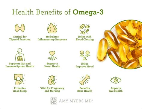 Omega 3 狗的來源