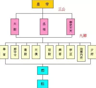 Omega 7：人體健康守護神